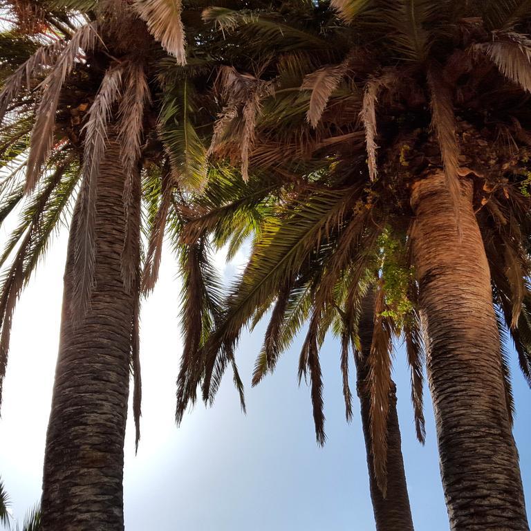 Casa Rural El Traspatio Granadilla De Abona Dış mekan fotoğraf