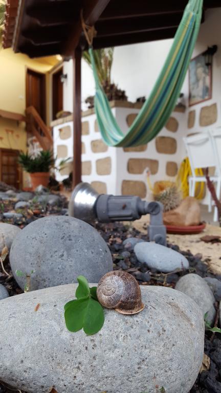 Casa Rural El Traspatio Granadilla De Abona Dış mekan fotoğraf